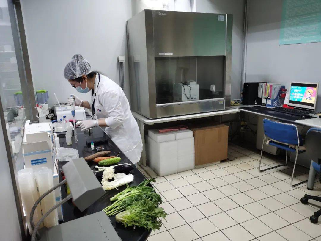 禹王台食品检测实验室装修方案